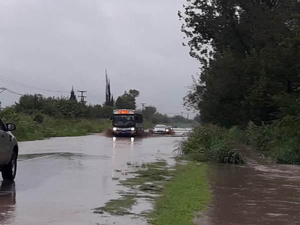 multimedia.normal.a26cc832ea336ac5.6c6c75766961202d2063657272696c6c6f73202833295f6e6f726d616c2e6a7067