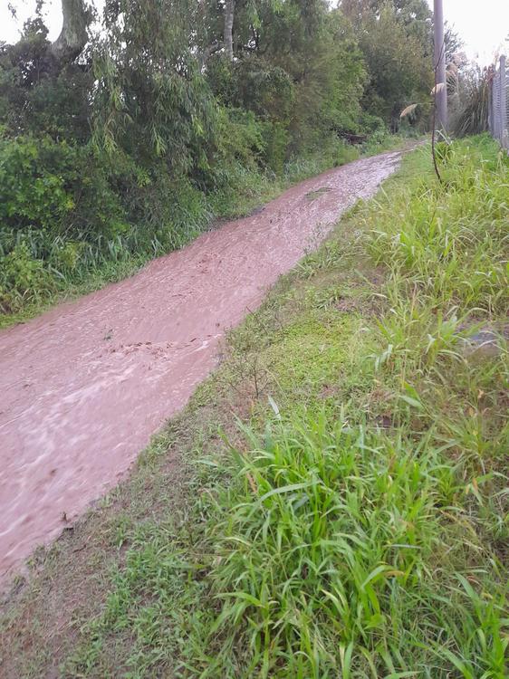Los Nogales inundado por agua de las fincas (11)