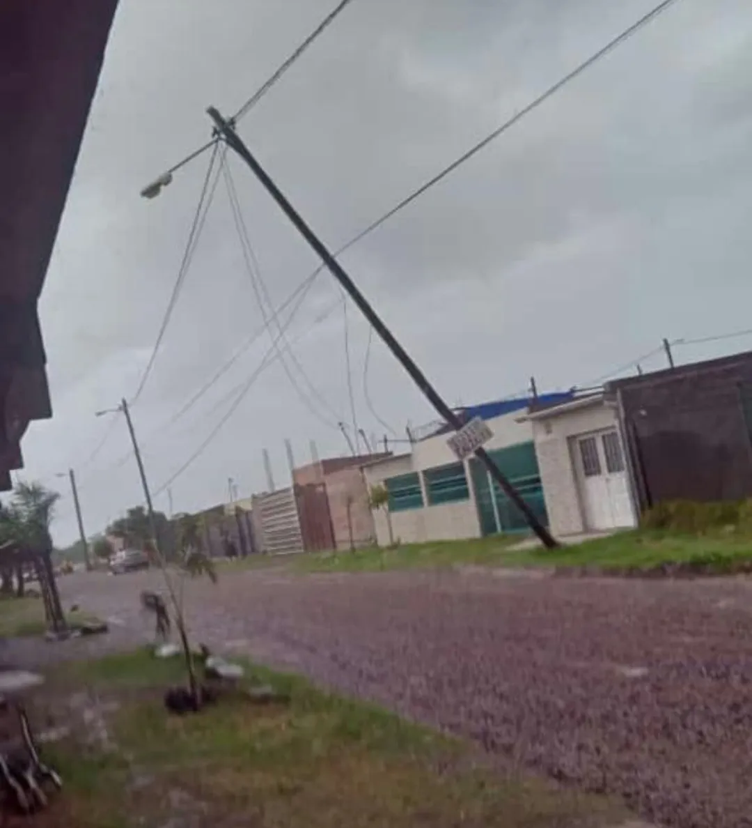 Screenshot_20231203_134648_WhatsApp