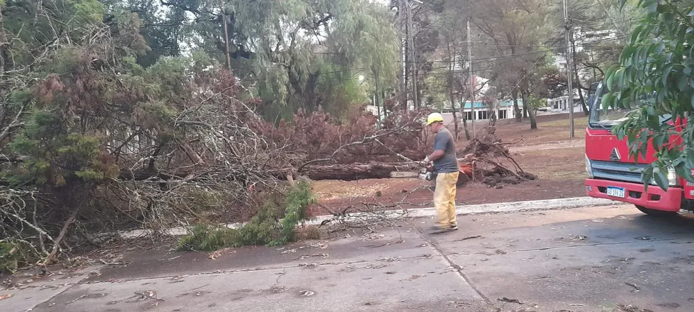 temporal-2de-diciembre-2023-f