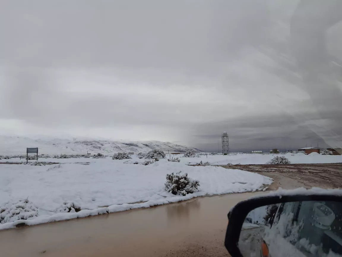 WhatsApp Image 2023-02-04 at 10.27.46