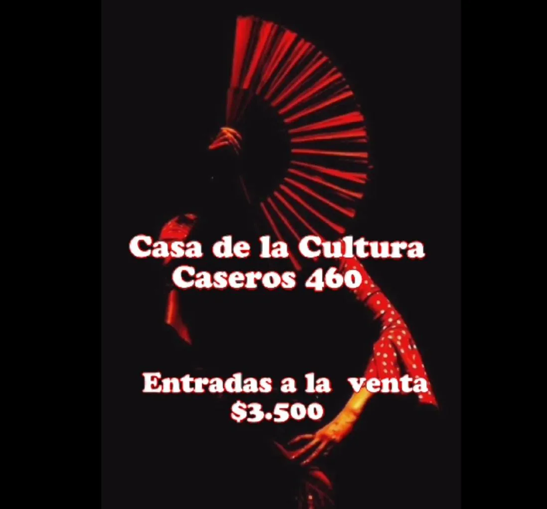 Bailame Flamenco 5
