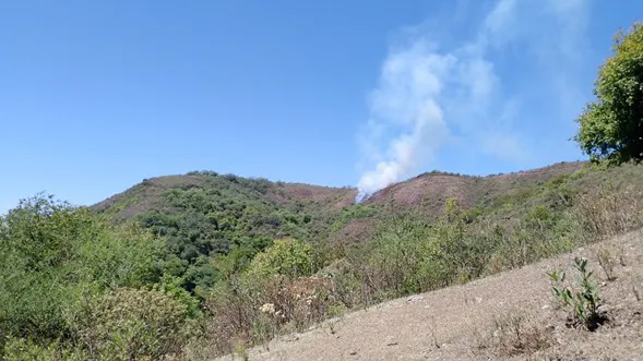 causa.cordeyro.columna.humo_
