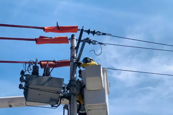 WhatsApp-Image-2024-08-05-at-19.21.04