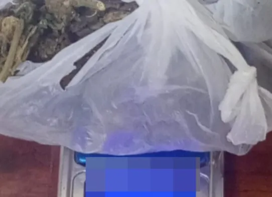 Captura de pantalla 2026-02-08 100914