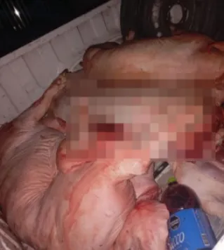 Captura-de-pantalla-2025-07-30-175757