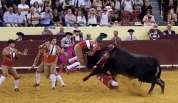 Captura de pantalla 2025-08-27 115445