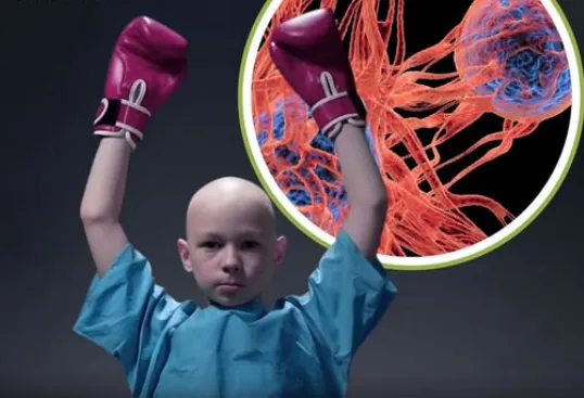 Captura de pantalla 2026-01-09 114245