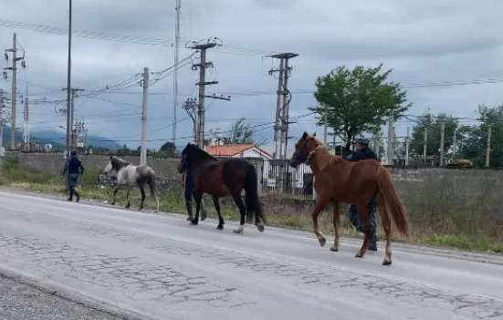 Captura de pantalla 2025-10-21 094749