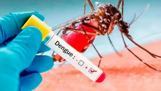 dengue