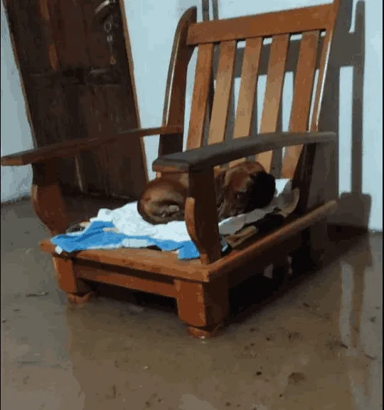 El Galpón totalmente inundado - fotos FM La Reina (4)