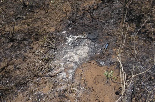 causa.cordeyro.lugar_.hallazgo.celular