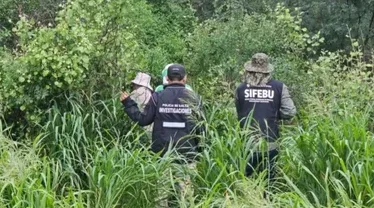 Rastrillajes Maria Cash