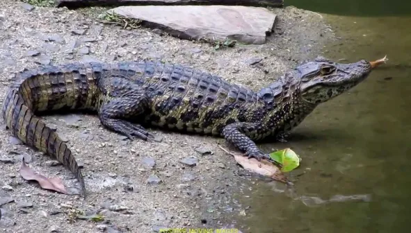 Captura de pantalla 2026-01-07 105615