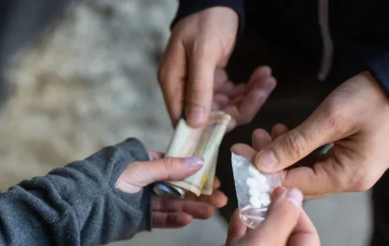 Captura de pantalla 2026-01-02 103646