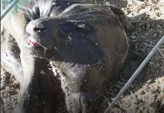 Captura de pantalla 2025-09-26 193510