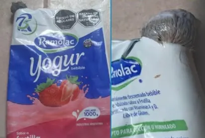 Captura de pantalla 2026-02-05 114618