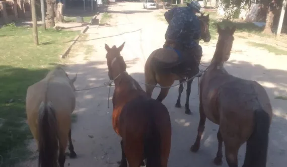 Captura de pantalla 2025-11-22 130956