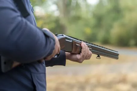 escopeta pistola arma