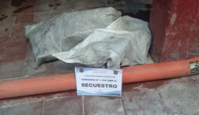 Captura de pantalla 2025-08-02 124634