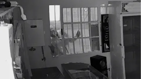 Captura de pantalla 2025-11-17 105722