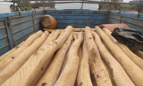 Captura de pantalla 2025-12-18 110400