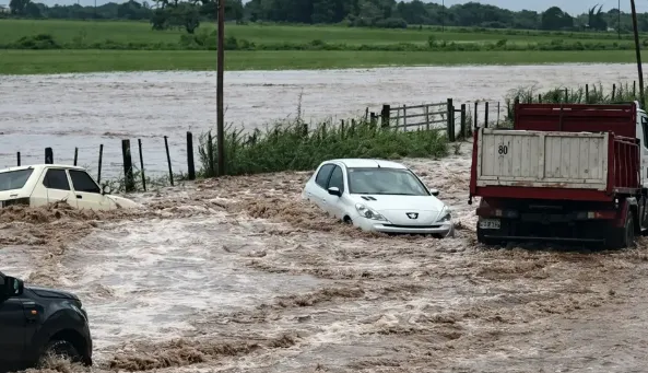 Captura de pantalla 2026-02-07 102321