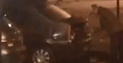 Captura de pantalla 2025-09-04 105818