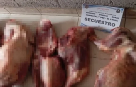 Captura de pantalla 2026-03-09 125740