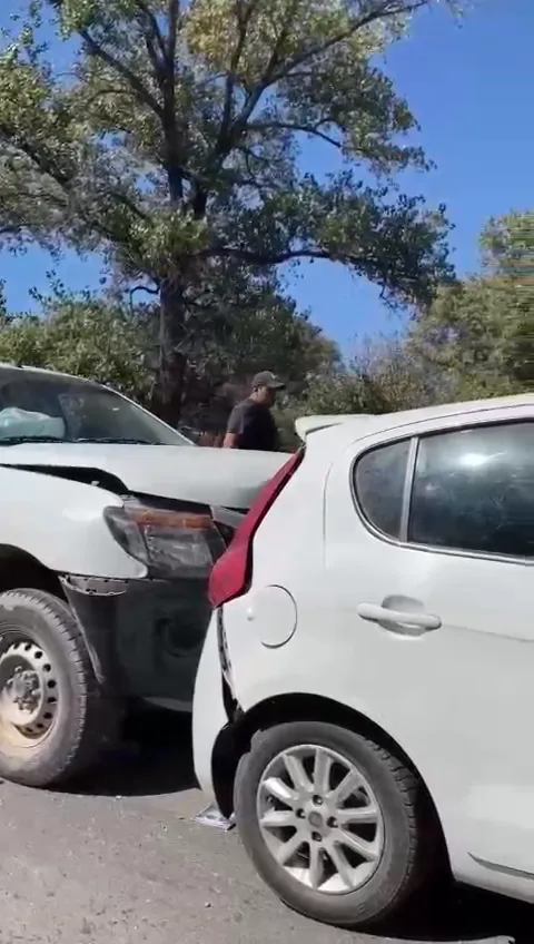 multimedia.video.93905d3009be0c1a.V2hhdHNBcHAgVmlkZW8gMjAyNC0wNS0wNSBhdCAxLjEubXA0