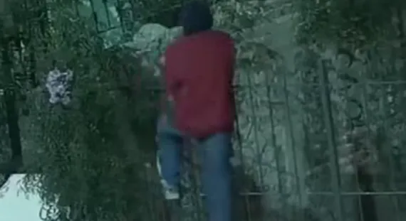 Captura de pantalla 2025-09-29 105017