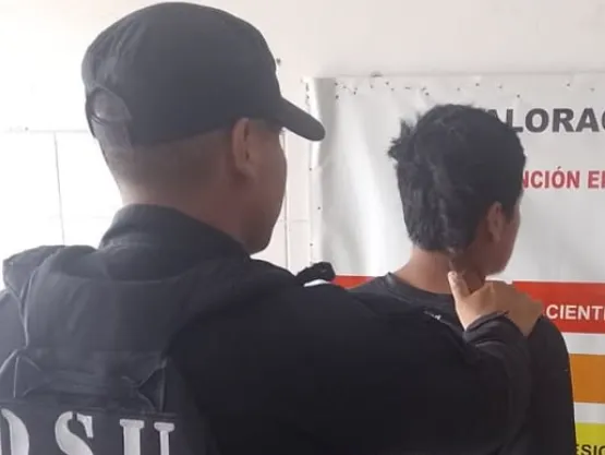 Captura de pantalla 2026-02-11 114558