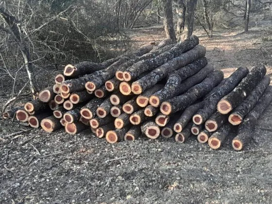 WhatsApp-Image-2025-08-20-at-2.48.12-PM-560x420