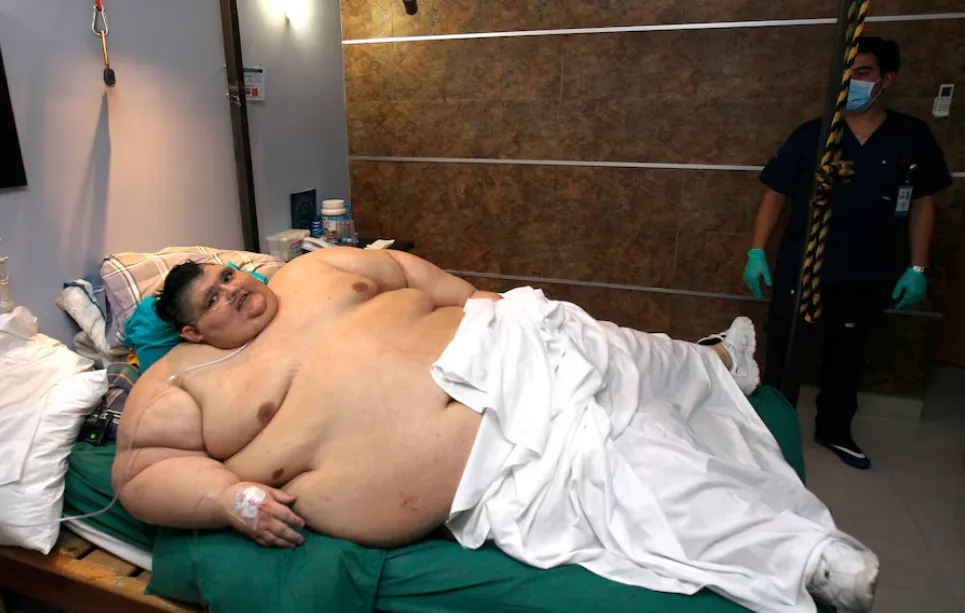 Captura de pantalla 2025-12-30 113318