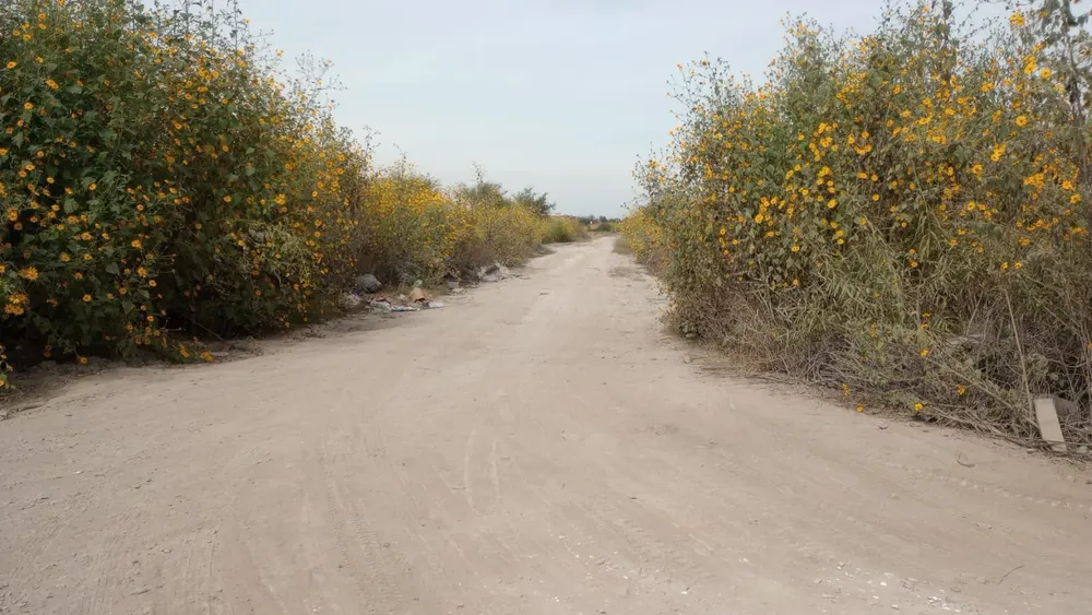 barrio san benjamin (2)