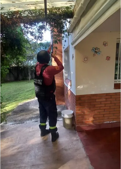 Brigada de explosivos 1