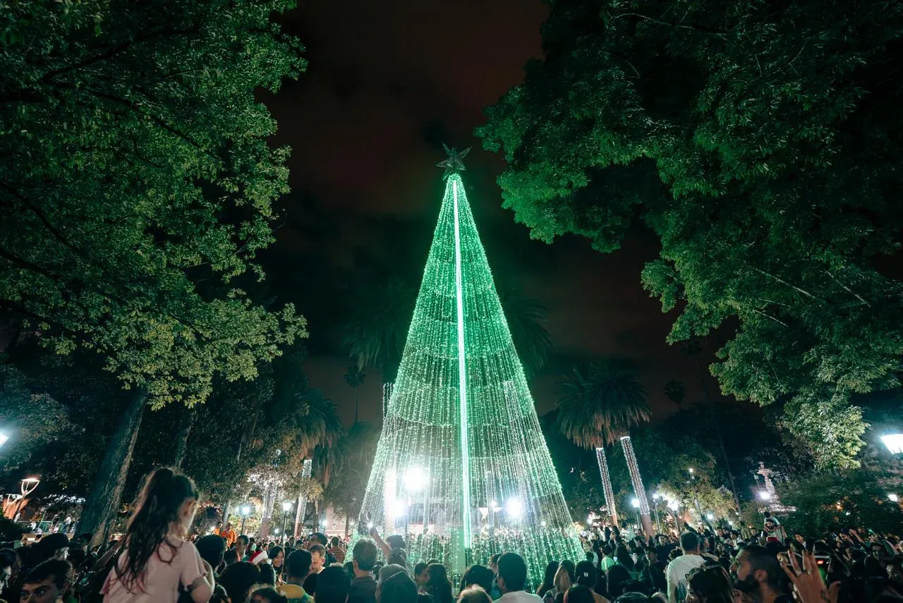 plaza 9 de julio arbol navidad