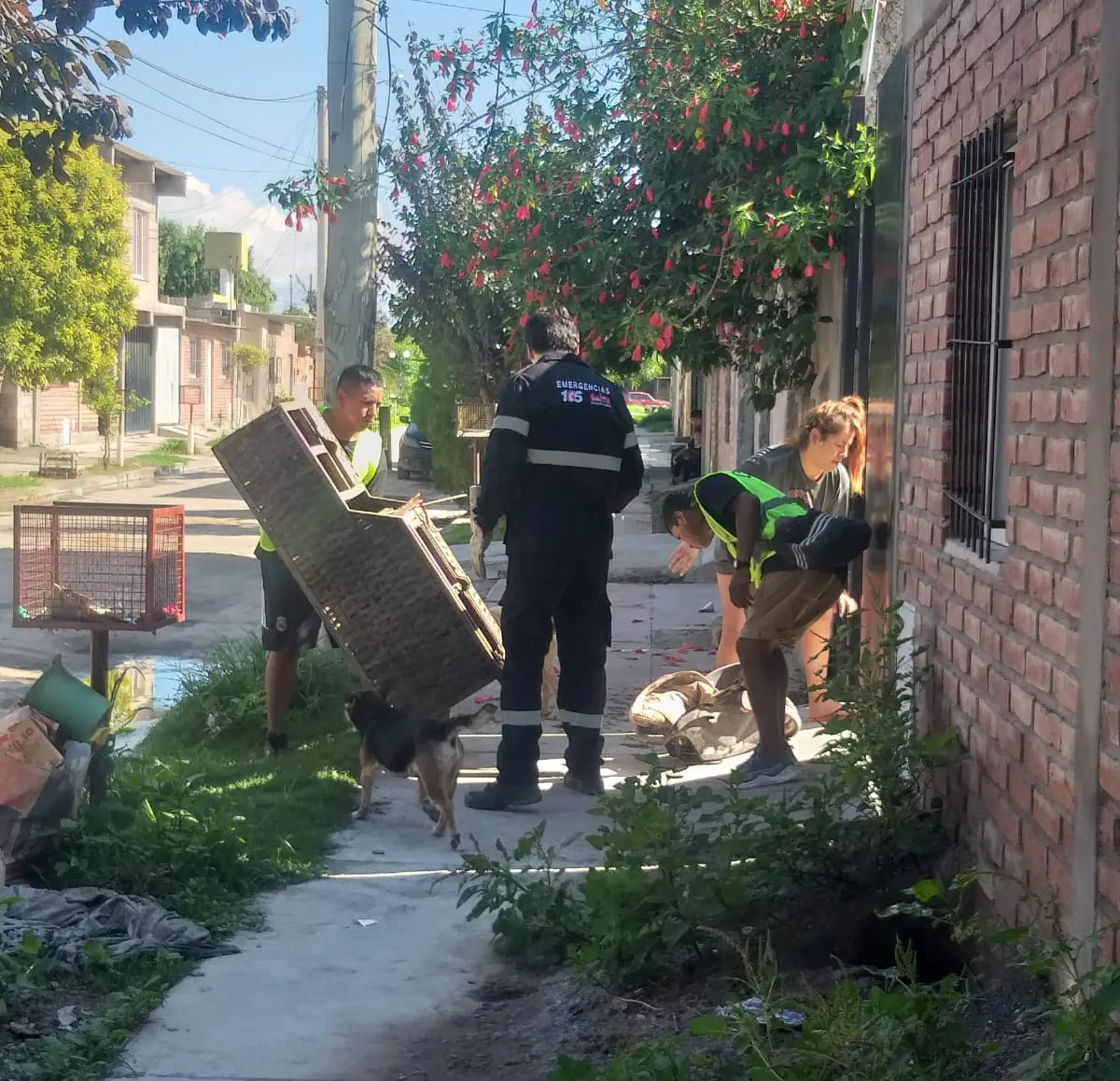 descacharrado-zona-sudeste-9