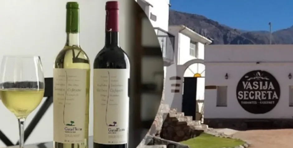 Captura de pantalla 2024-12-11 233732