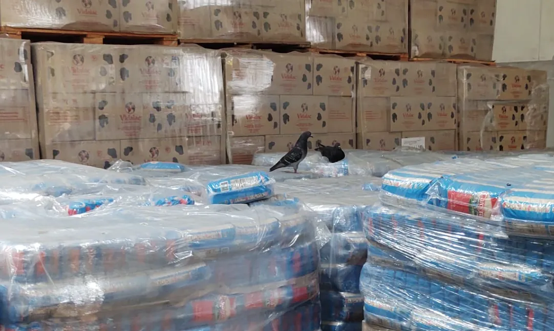 Captura de pantalla 2025-03-04 102846