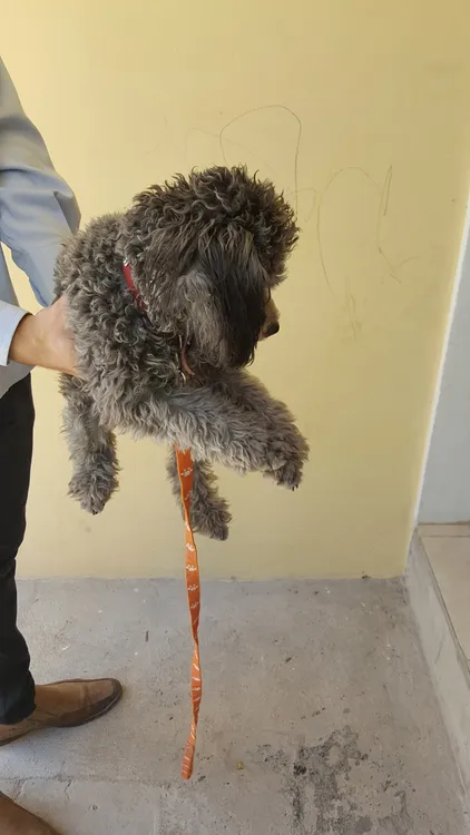 Foto-celular-JIMENA-2