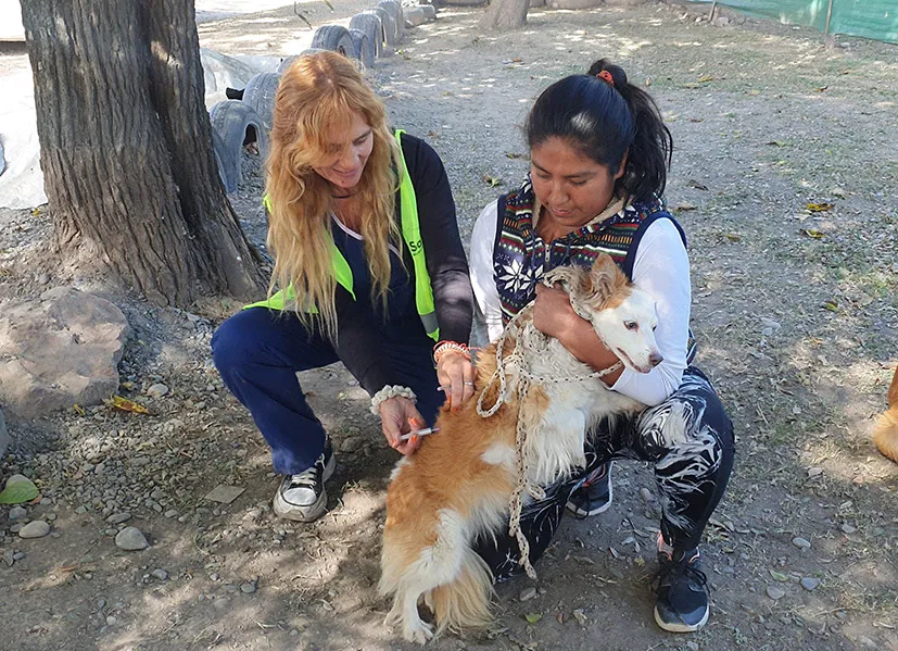 vacunacion-en-circulo-iv-8