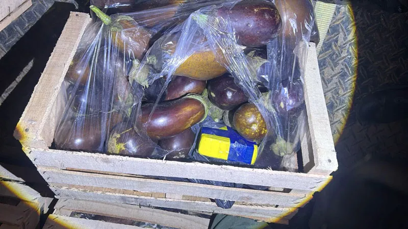 incautamos-31-kilos-de-cocaina-ocultos-en-cajones-de-berenjenas-3