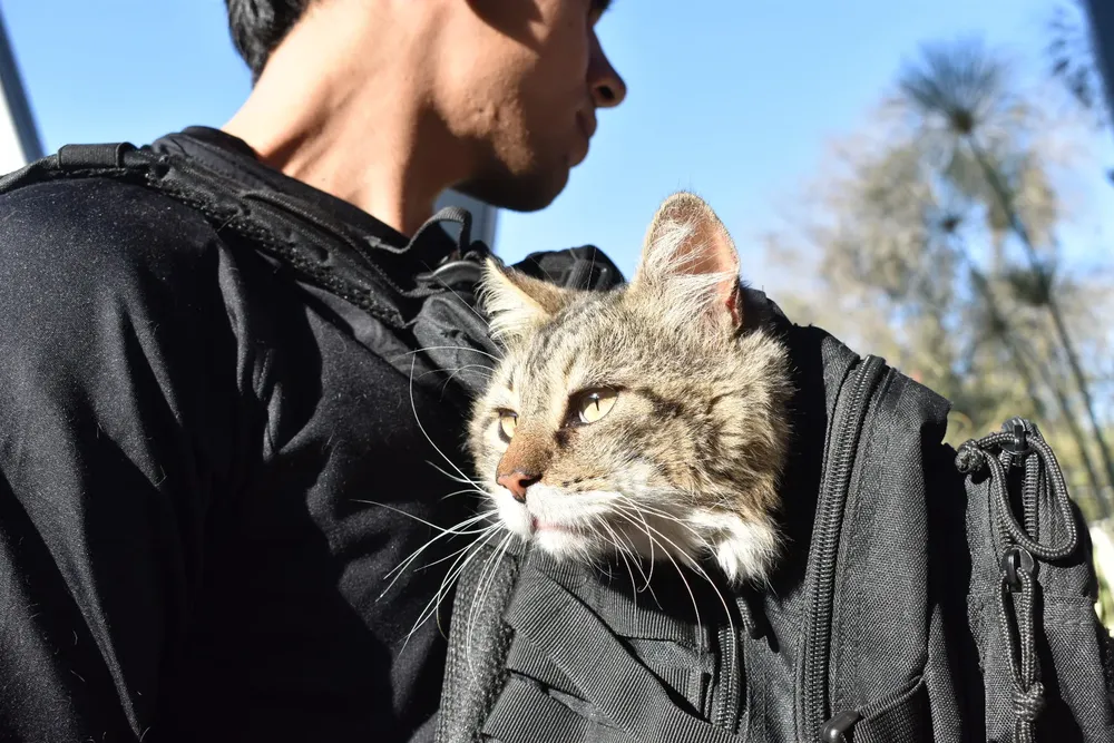 vacunacion-antirrabica-41