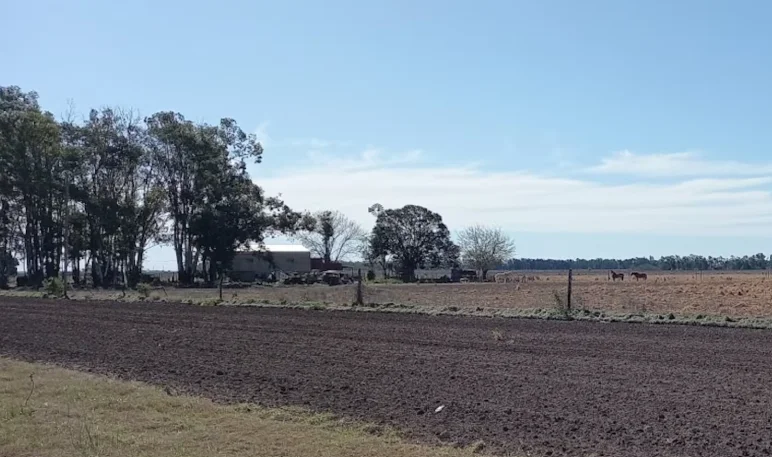 Captura de pantalla 2026-09-30 095825