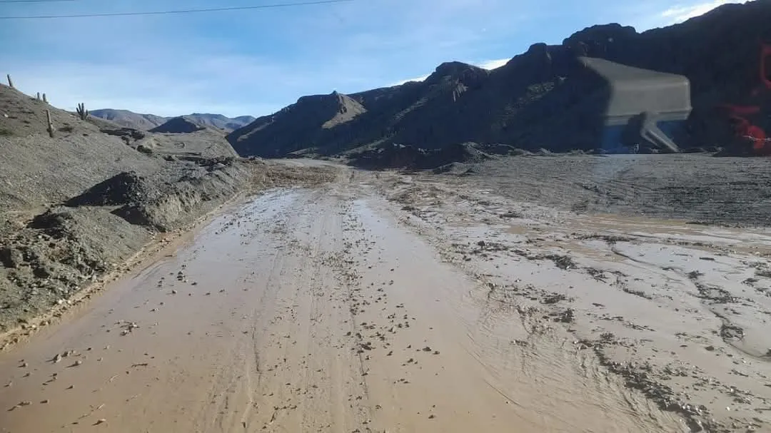 FB_IMG_1740680345641