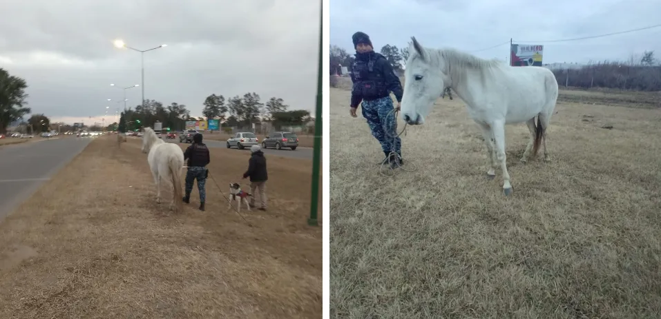Captura de pantalla 2025-07-03 105821