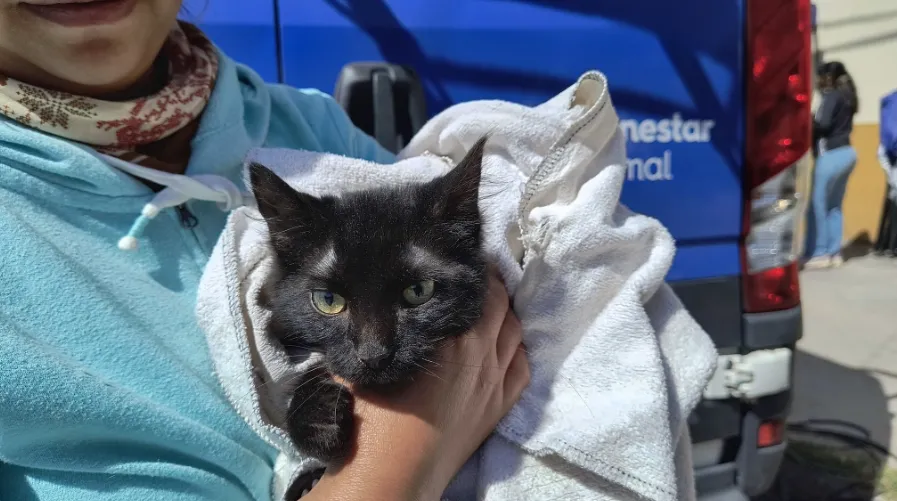 Captura de pantalla 2024-11-28 085227