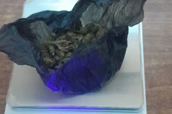 Captura de pantalla 2025-07-23 102906