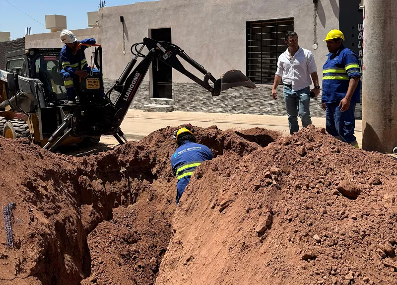 id_38607_NachoRedesMetanweb